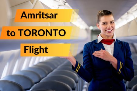 Amritsar to Toronto Flight 04 Times In Month